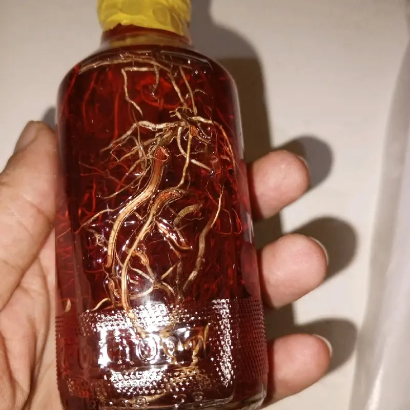 minyak asli kalimantan dayak Minyak Pijat 1