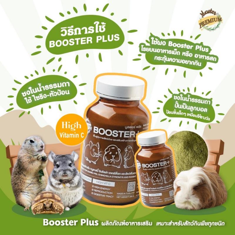 Product Introduction of ขาย Master Premium Booster Plus อาหารเสริม ช่วยฟื้นตัวและเสริมสร้างความแข็งแรง สำหรับสัตว์กินพืชทุกชนิด (290g) 18