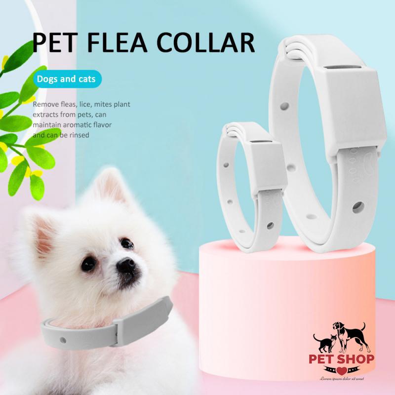 Vòng Cổ bảo vệ cho chó mèo ,Pet , Vòng Cổ trị ve rận bọ chét choPet