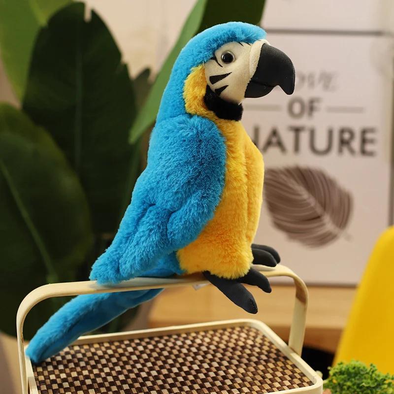 Product Introduction of 25CM Lifelike Bright Colorful Parrot Plush Toys Soft Simulation Wild Animals Stuffed Bird Doll Children Kids Gift Home Decor 4