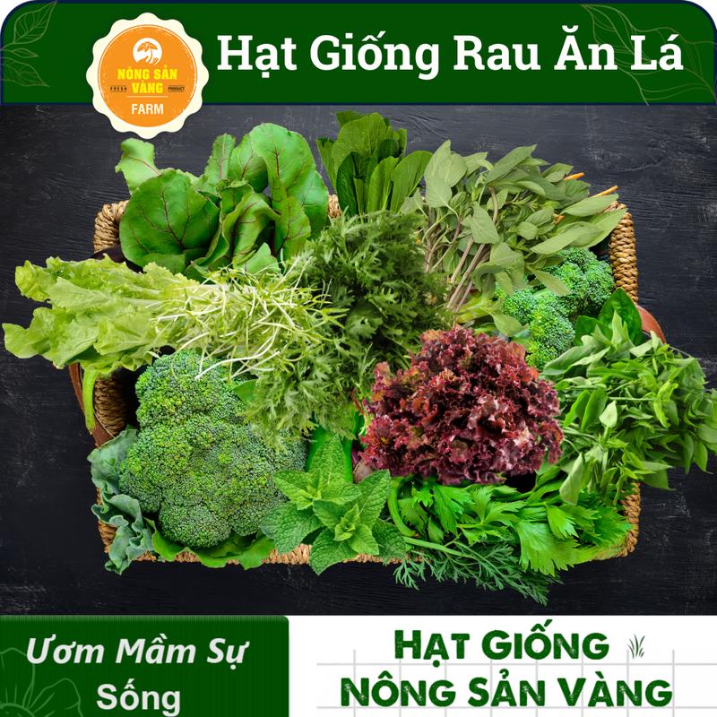 Tổng Hợp Các Loại Hạt giống Rau Ăn Lá, Chịu Nhiệt, Trồng Quanh Năm, Dễ Trồng, Năng Suất Cao - Nông Sản Vàng 0