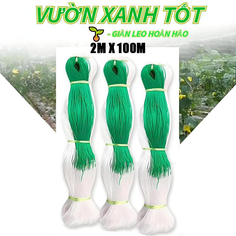  Lưới Làm Giàn Cây Leo 2m x 100m Chất Liệu Lưới Nhựa Bền Chống Tia UV & Thấm Sáng Tốt Hỗ Trợ Dưa Chuột Bầu Bí Hoa Hồng Leo Phát Triển Mạnh Dễ Lắp Đặt 