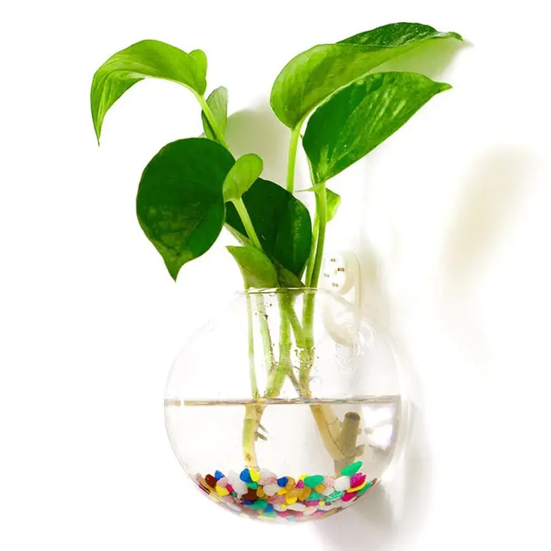 Bình Treo Tường Bằng Thủy Tinh, Thiết Kế Sáng Tạo, Thích Hợp Cho Cây Thủy Canh, Tăng Cường Trang Trí Nhà Cửa, Hoàn Hảo Cho Bể Cá, Y7S6 2