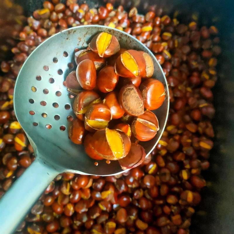 Hạt dẻ tươi cao bằng , túi 1kg , vị ngọt, thơm bùi cơm vàng ươm không hoá chất bảo quản đồ  Ăn Vặt tốt cho sức khoẻ hạt dẻ tươi cây rừng hạt  dẻ rang Food Thức Ăn