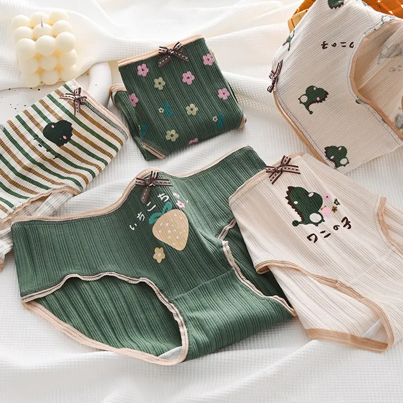 Đồ Lót Trẻ Em Gái, Phong Cách Tối Giản, In Hình Hoạt Hình, cạp vừa, Thoáng Khí, Đồ Lót Thân Thiện Với Làn Da Thoải Mái, Thiết Kế Khối Màu Khủng Long Dễ Thương, Thích Hợp Cho Bé Gái