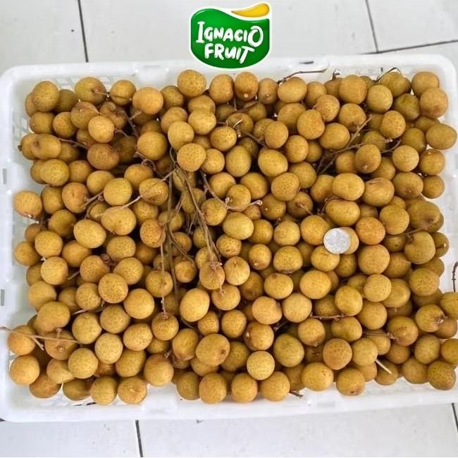 Jual [INSTAN] 1 KRAT KELENGKENG MAS CH NEW [ ±11kg ] FRESH IMPORT ...