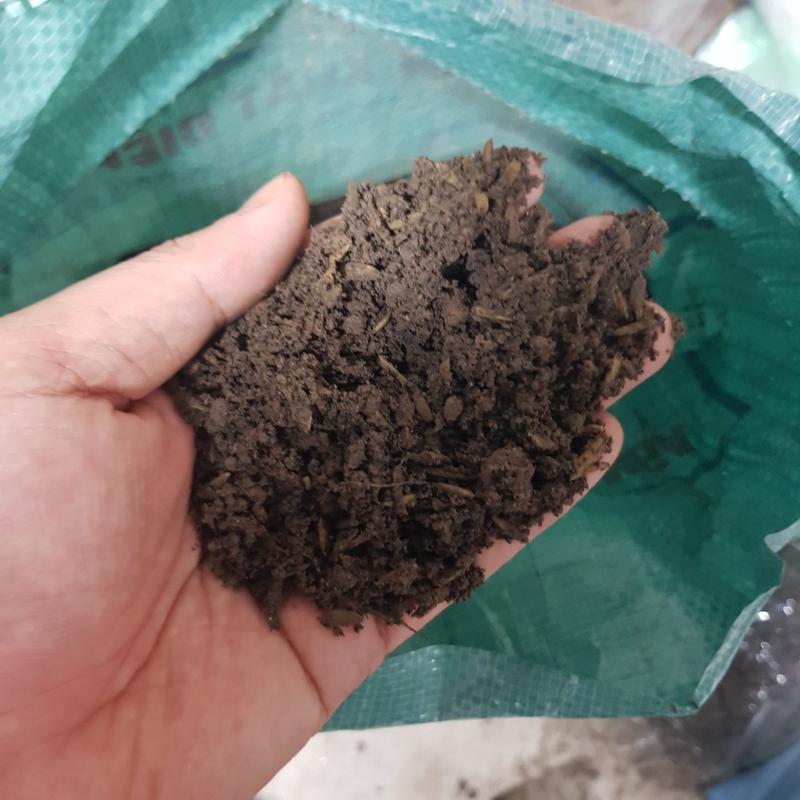 Túi 1kg đất sạch đất phù sa đất hữu cơ trồng rau và cây cảnh