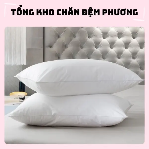 Combo 4 ruột gối trắng cao cấp 40x60 bông gòn kháng khuẩn - Tổng kho Chăn đệm Phương