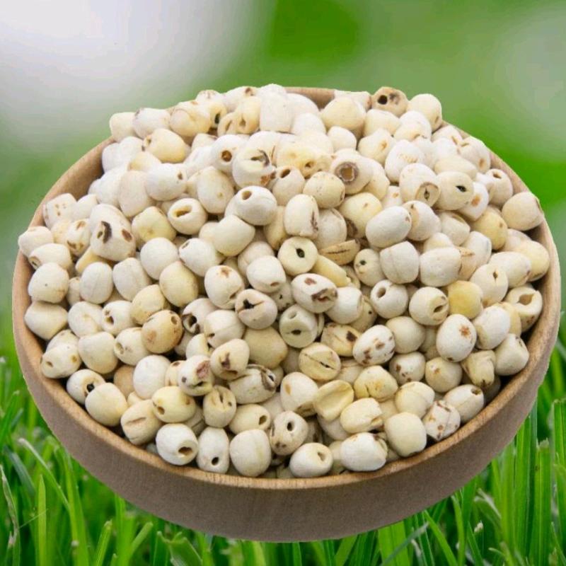 Hạt sen khô nấu cháo, súp, nấu chè 2