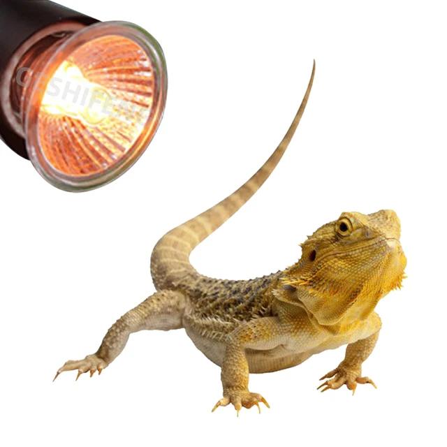 Lampu UVA UVB Halogen 50W  Penghangat Reptile Torto Sulcata Nomoy Kecil Iguana Kura Kura 6
