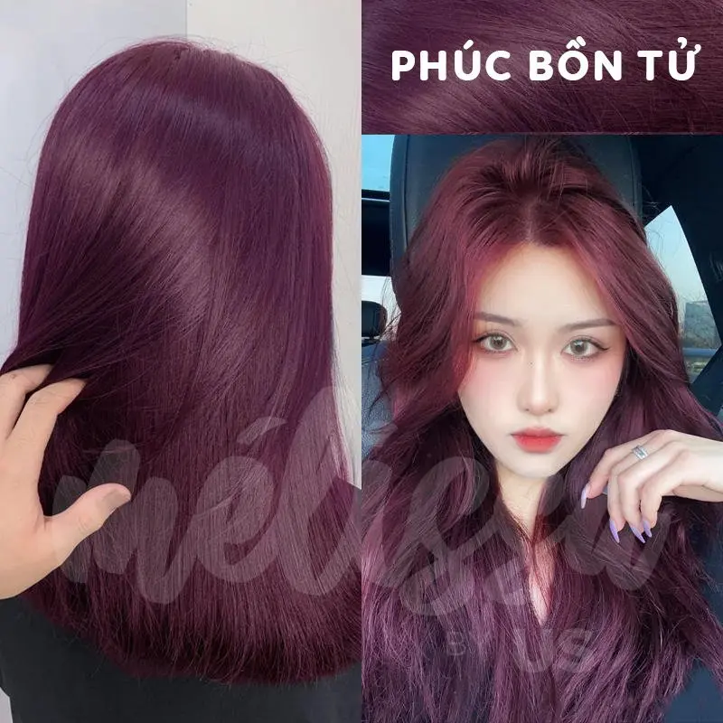 [KHÔNG CẦN TẨY - PHÚC BỒN TỬ] Thuốc nhuộm tóc SIÊU DƯỠNG - KHÔNG XƠ - LÀNH TÍNH - LÊN MÀU CHUẨN
