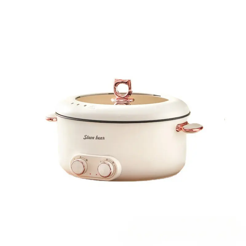 New 110v/220v electric two-pot hot pot home electric pot one large capacity dormitory electric wok partition plus