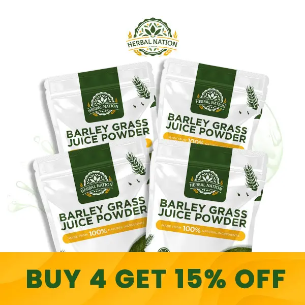 {Buy 4 Promo} Herbal Nation Barley Grass Juice Powder 100g Organic Healthcare Supplement Health Boost Fitness Edible