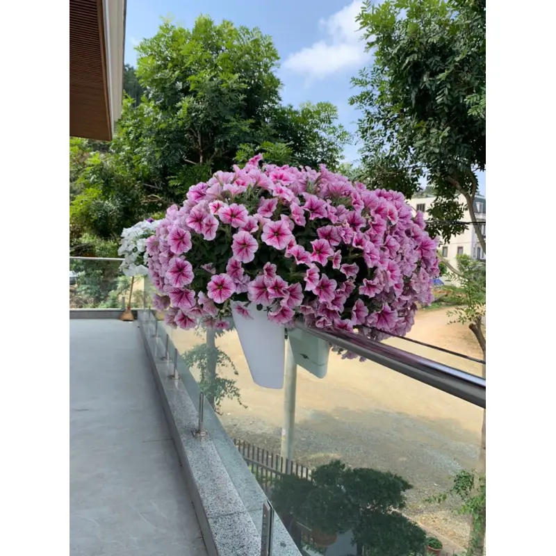 Chậu trồng cây kẹp lan can, kẹp ban công, không tốn diện tích, phong cách hiện đại Châu Âu, chậu trồng hoa treo lan can 7