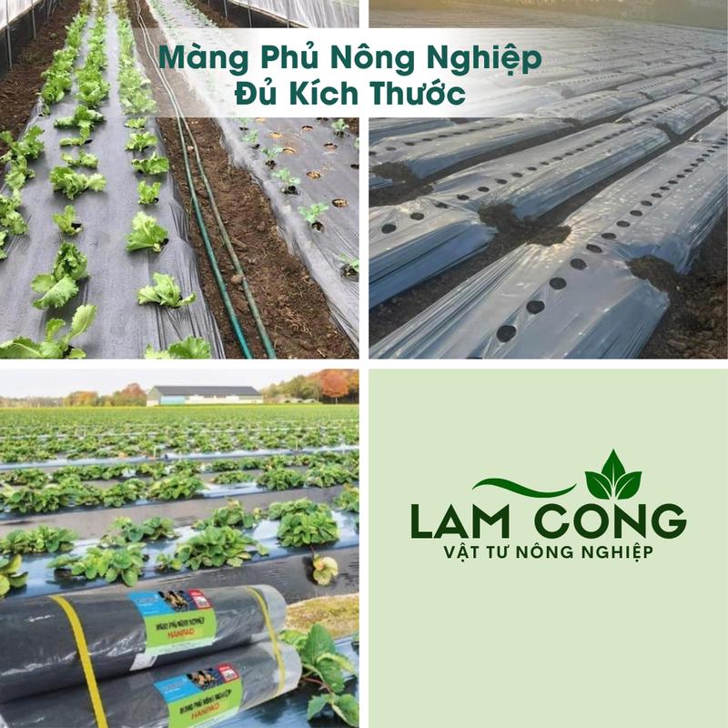 Màng Phủ Nông Nghiệp 2 Mặt Đen Bạc 25 Mic Đủ Kích Thước Làm Tăng Nhiệt Độ Giữ Đất Tươi Xốp