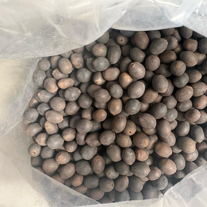 Hạt Sen Đen Nguyên Vỏ Đồng Tháp 2 Nắng Đồng Tháp-500g-Hạt Giống Sen Ta Thích Hợp Dùng Để Trồng 4