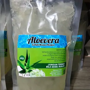 Lidah Buaya Kupas 1000gram Nata De Aloevera