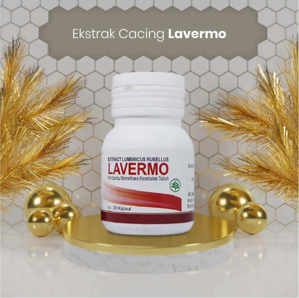 Lavermo Meredakan DEMAM Migrain Darah Tinggi Diabtes TBC Hipertensi - Extract Lumbricus Rubellus