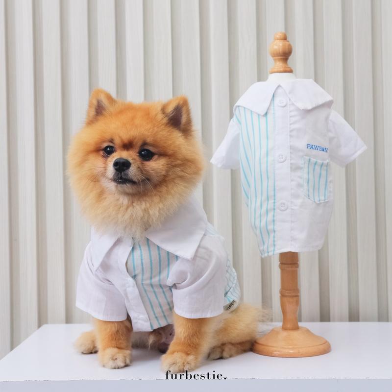 Product Introduction of Furbestie by Pomapoo - Kostum Kucing dan Kostum Anjing Pawson 1