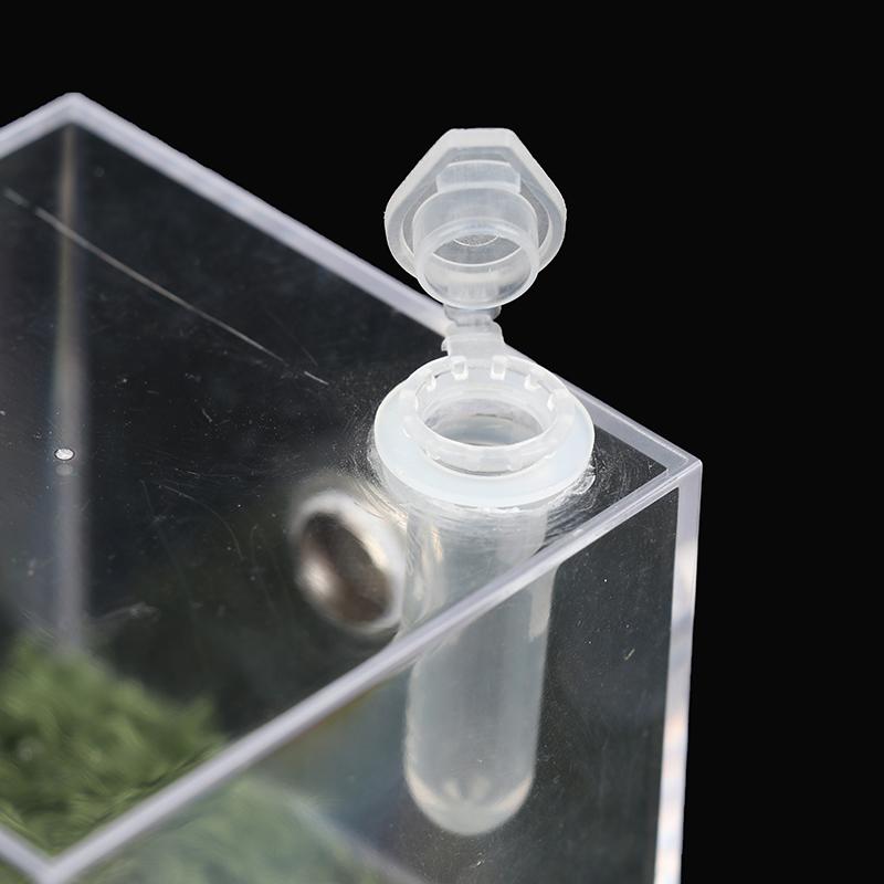 Product Introduction of Reptile Breeding Box Acrylic Spider Lizard Scorpion Enti's Insect Terrarium Box 18