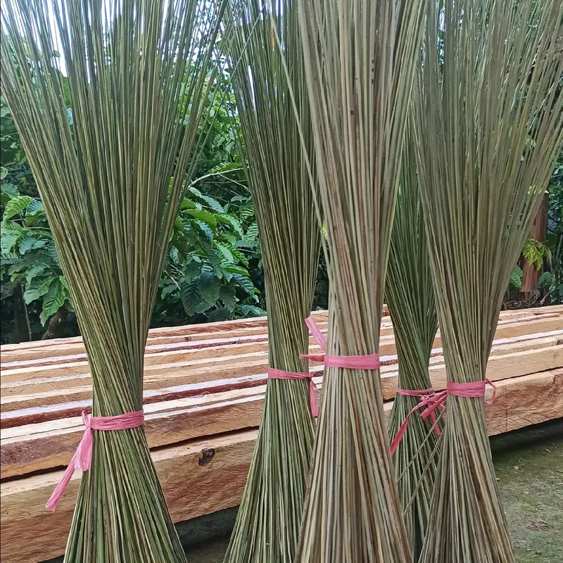 Sapu lidi aren sodo lanang kuat kokoh isi 40pcs 0