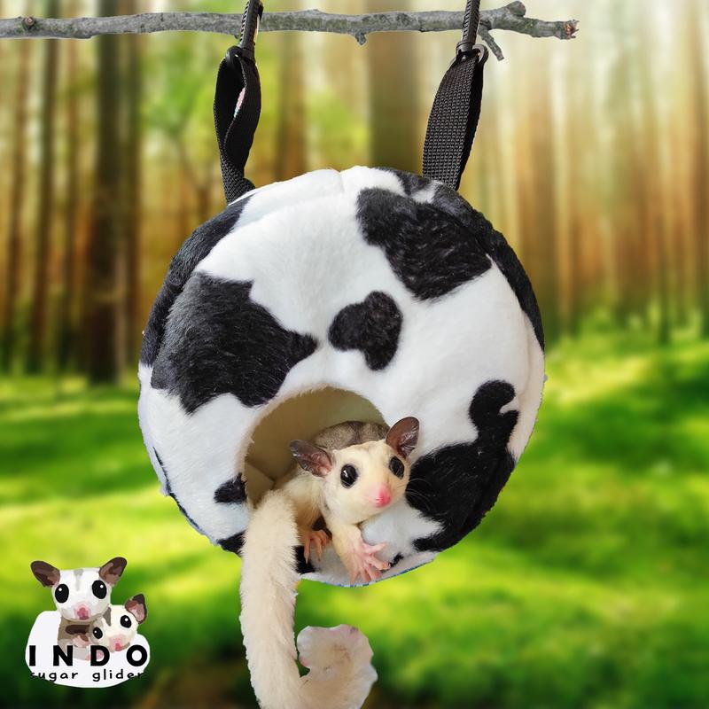 Sugar Glider Pouch Big Animal 2