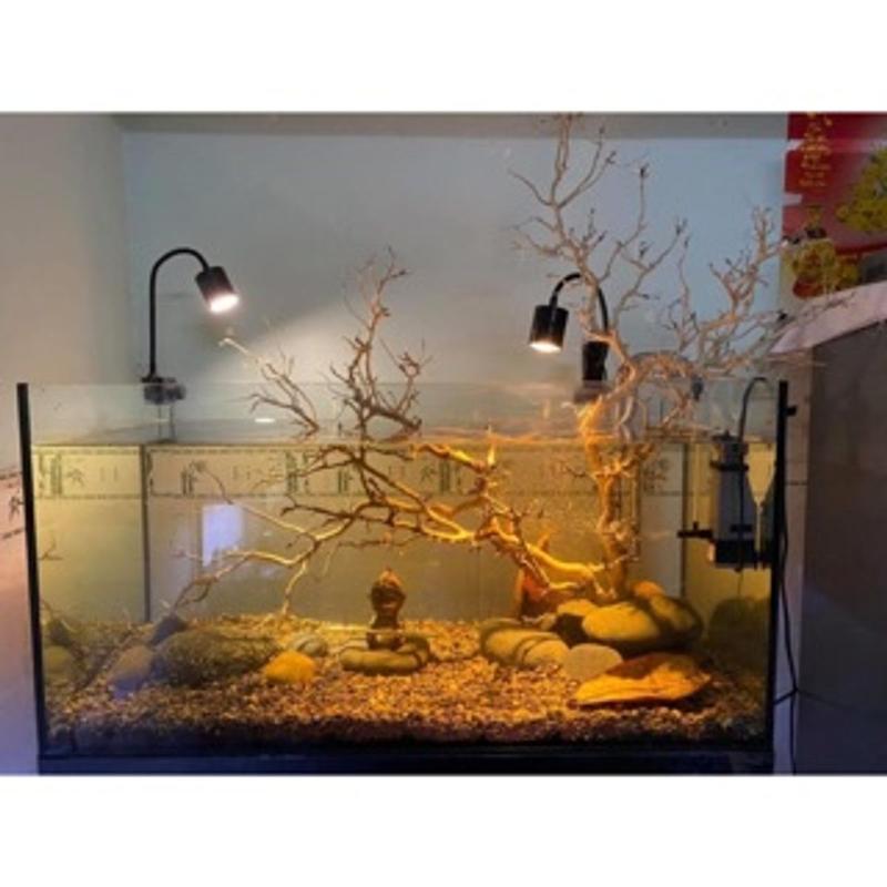 Product Introduction of Đèn Led Rọi Thuỷ Sinh Biotop - Thích Hợp cho những hồ Thuỷ Sinh, hồ Bán Cạn, Hồ Tiểu Cảnh... DREAMER GUPPY.. 18
