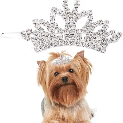 Selected Dog Crown Diy TikTok Shop