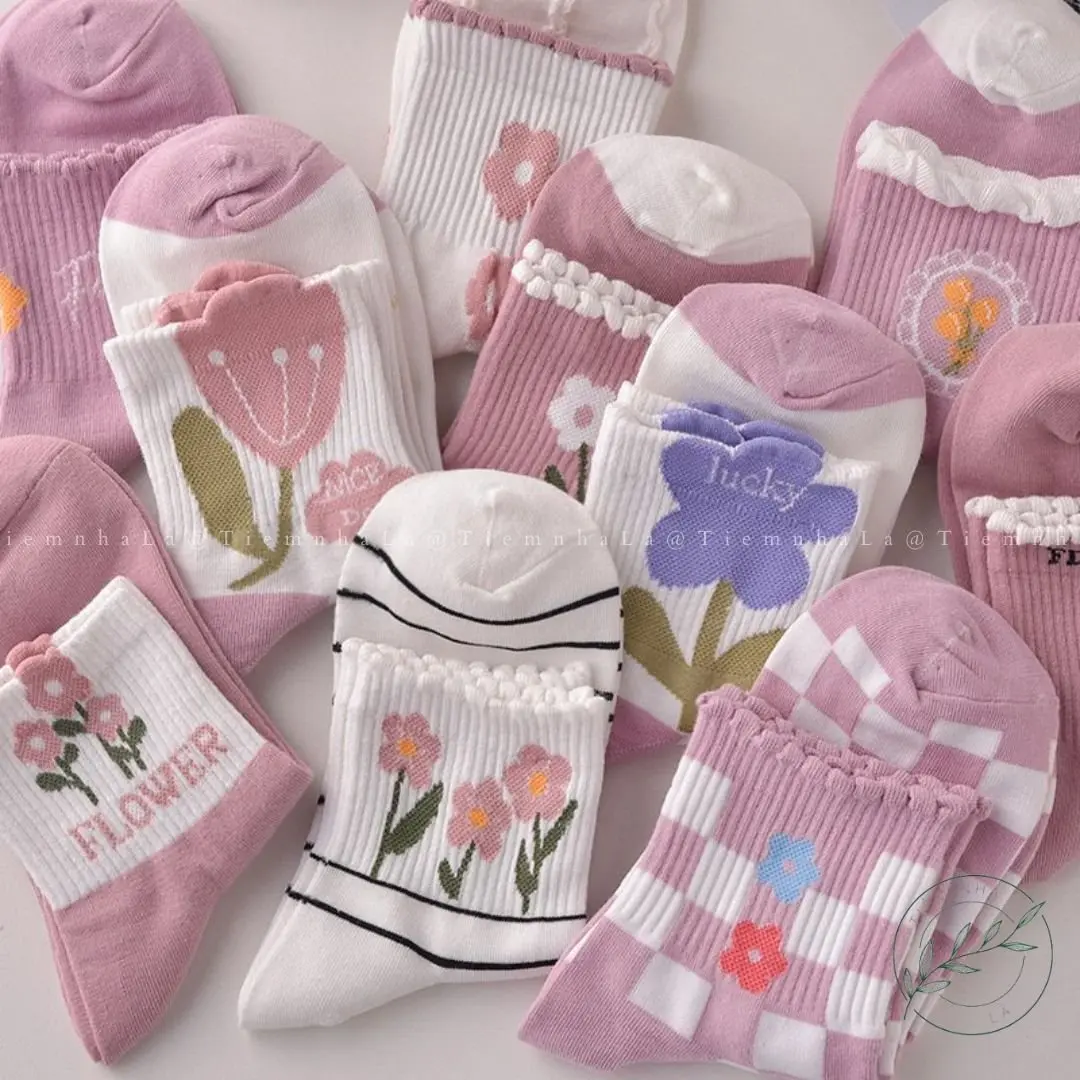 [HÀNG LOẠI 1] Combo set 5 đôi tất nữ cute chất dày dặn, thoáng mát hàng loại đẹp