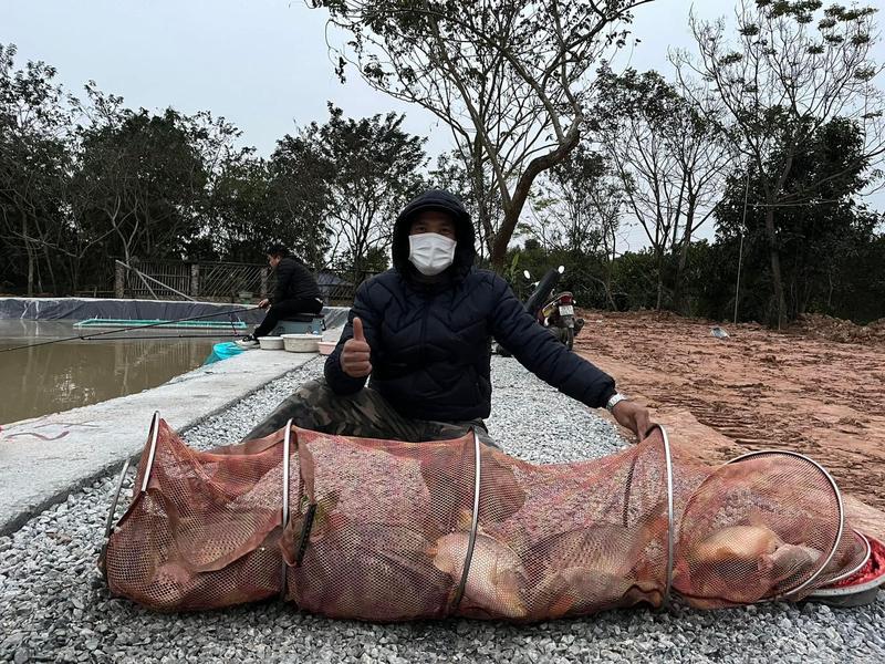 Product Introduction of Cám Chuyên Chép Thế Anh Fishing ( 600g ) bao móm hạng nặng cho anh em câu đài dịch vụ và tự nhiên. Phù hợp với cả chép cũ chép mới . Chép giòn chép thường #cauca #fishing#fish#bigfish#ThếAnhFishing Đi Câu Câu Cá Bắt Cá 30
