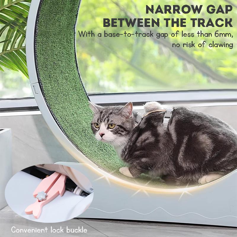 Product Introduction of Silent rolling solid wood fiberboard cat and dog treadmill running wheel pet exercise fitness gym toy 55