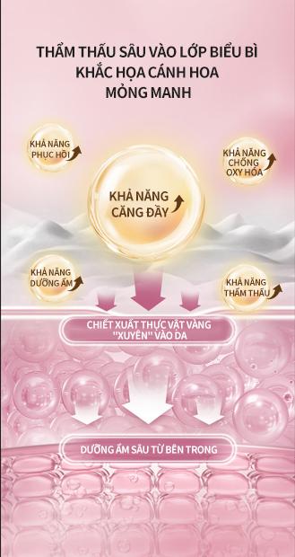 Product Introduction of 【Hồi sinh sự tươi trẻ】Tinh dầu dưỡng da cho nữ giới chống lão hóa, giúp làn da săn chắc, mịn màng 2