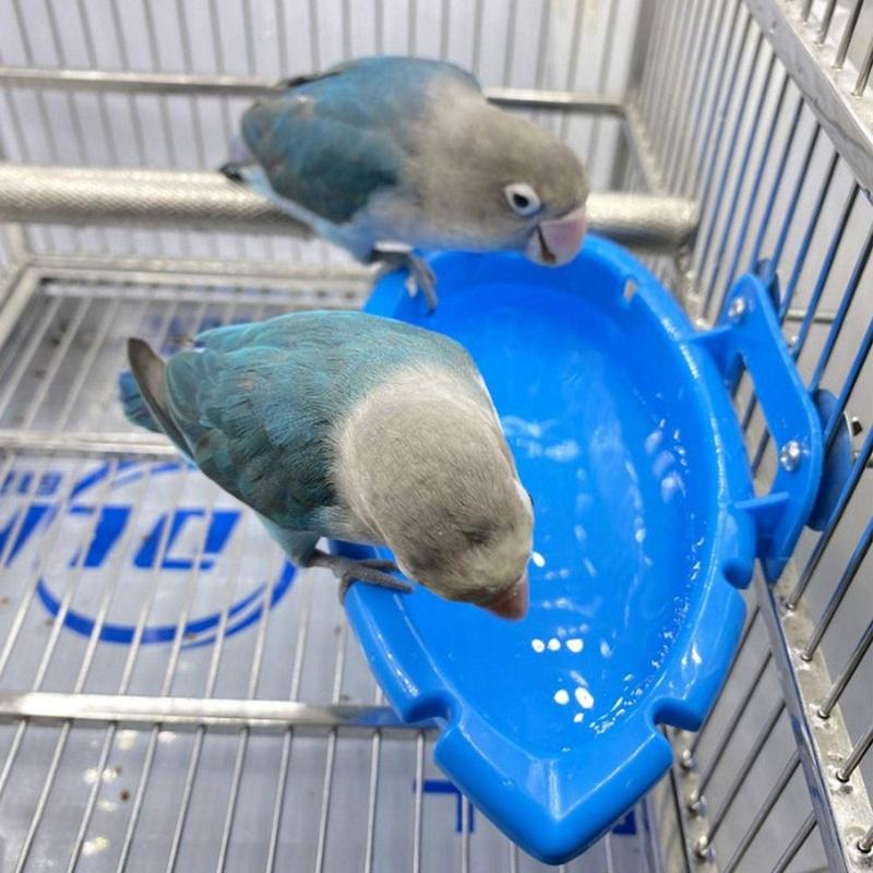 Product Introduction of New Hanging Parrot Food Tray Multifunctional Cleaning Products Bird Bath for Cage Shower Box 14