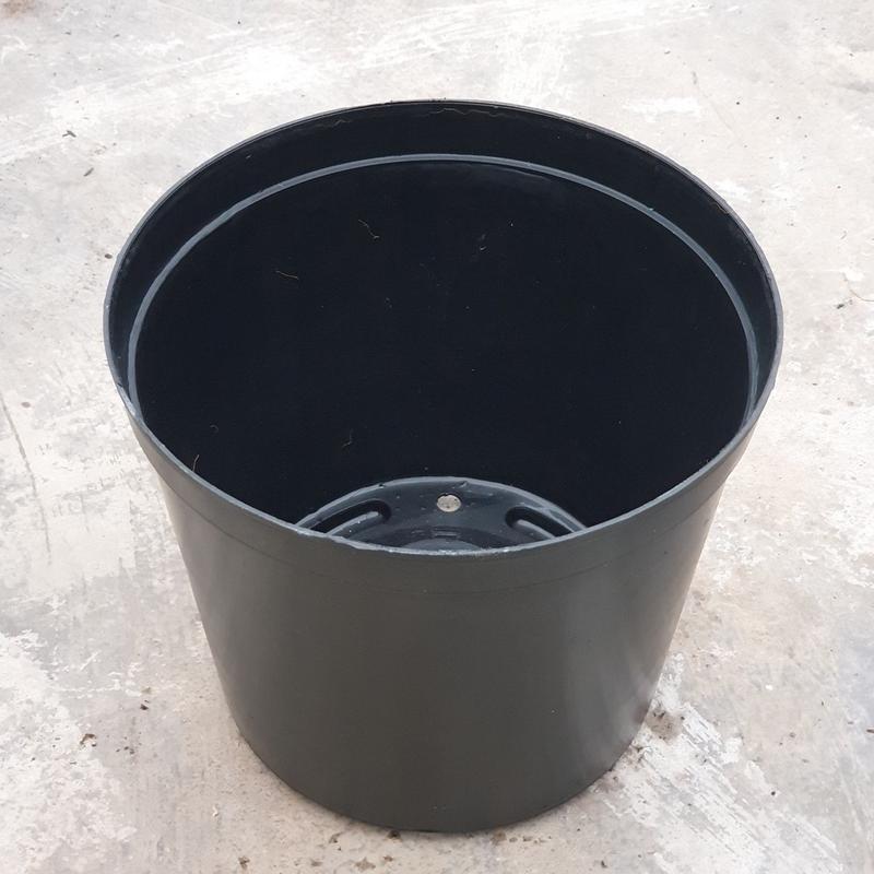 Chậu nhựa đen cứng cao cấp SIZE LỚN 1