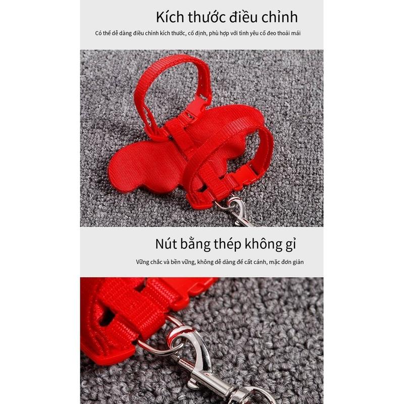Product Introduction of Pet Cat Traction Rope Angel Wings Rabbit Rope Retractable and Adjustable Length 17