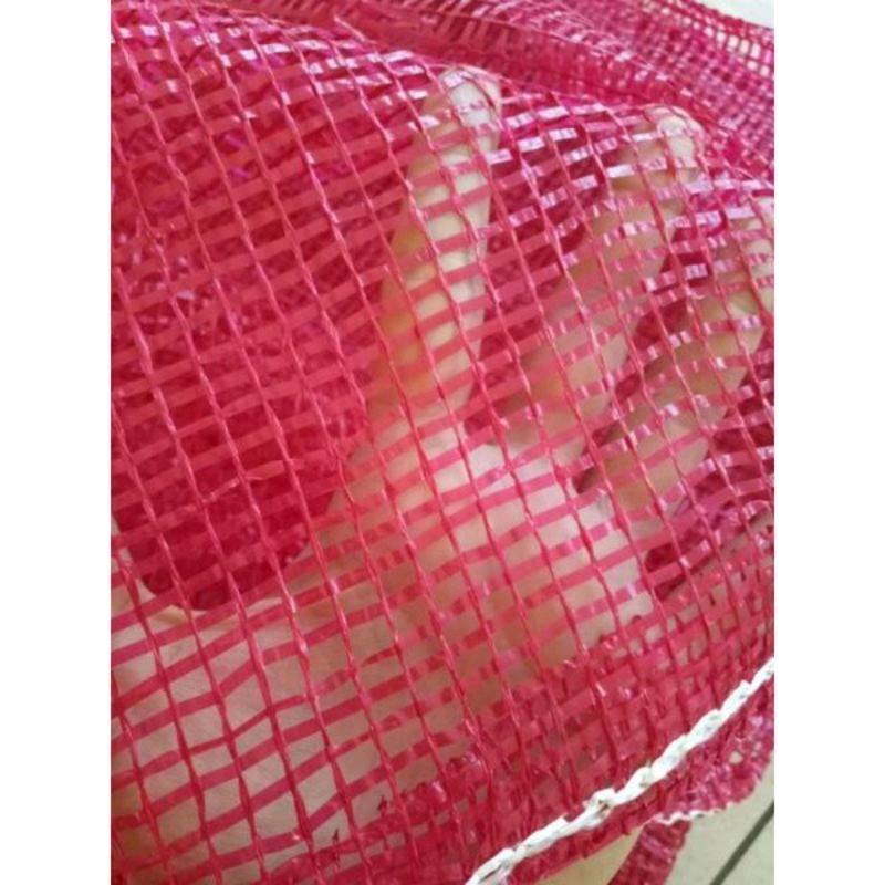 GROSIIR Waring Merah 25 Pcs KARUNG BAWANG SAYUR BUAH CABAI 2
