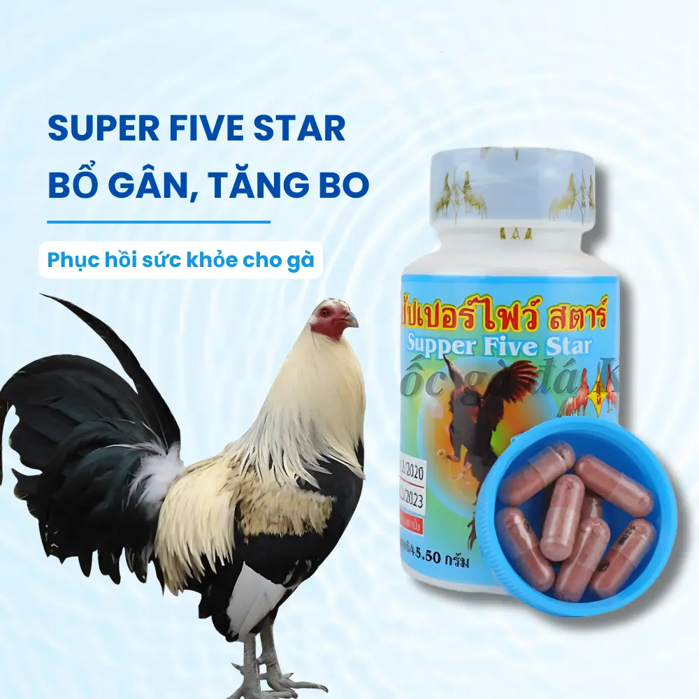 Super Five Star Bổ Gân Xanh Cho Gà
