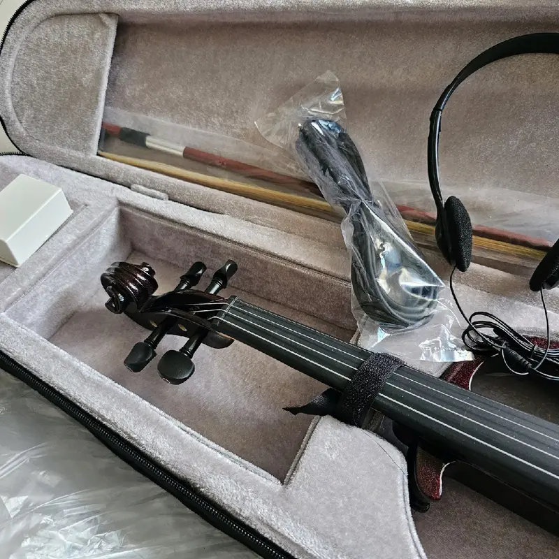Biola elektrik Vienna original High Quality 2