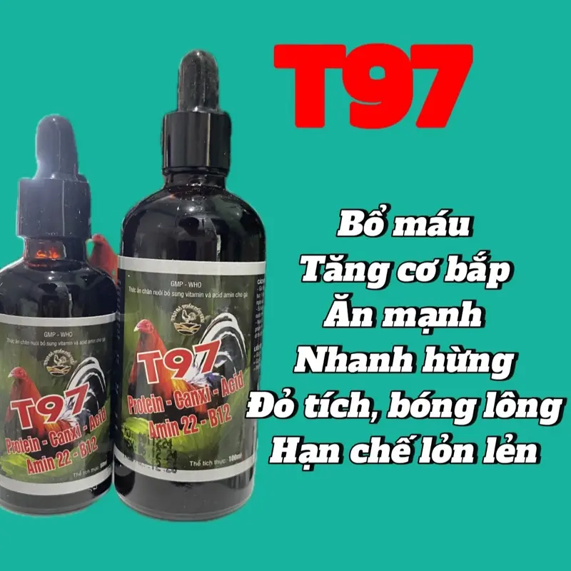T97 Dinh dưỡng nuôi gà, Canxi-B12, Vitamin