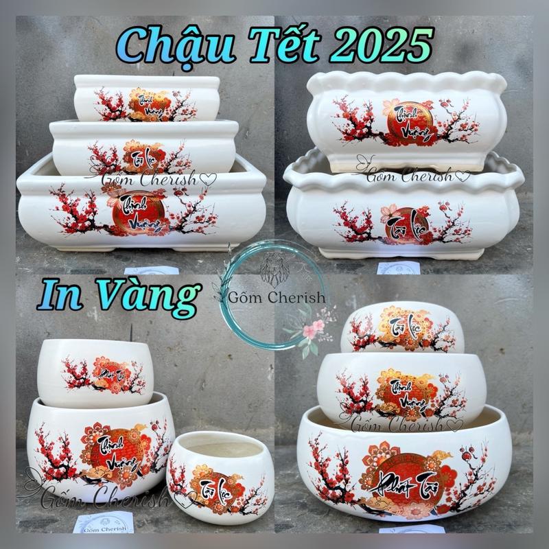 Chậu trồng quất, lan tết (IN ÁNH VÀNG KIM),(Nhiều Mẫu Chữ) Chậu cây phong thuỷ tài lộc