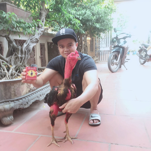 Khải Gà Chọi Mê Linh