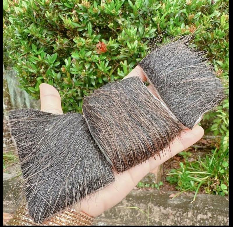 Product Introduction of combo 4  miếng da trâu còn nguyên lônghỗ trợ thu hút vía lành 2