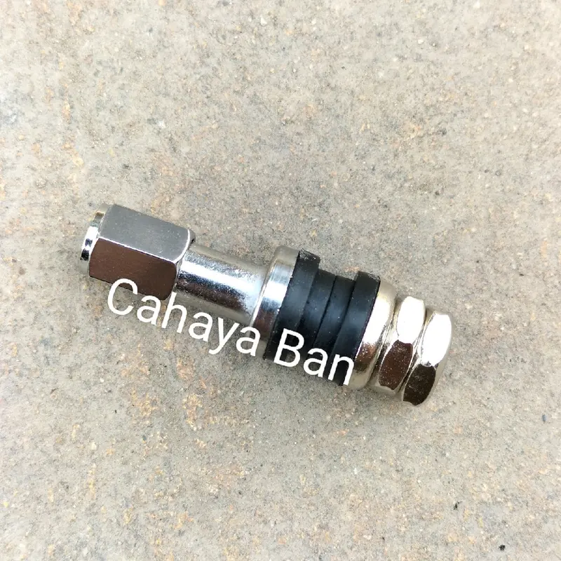 Pentil besi panjang 4,5 cm 2 pcs tubeless 0