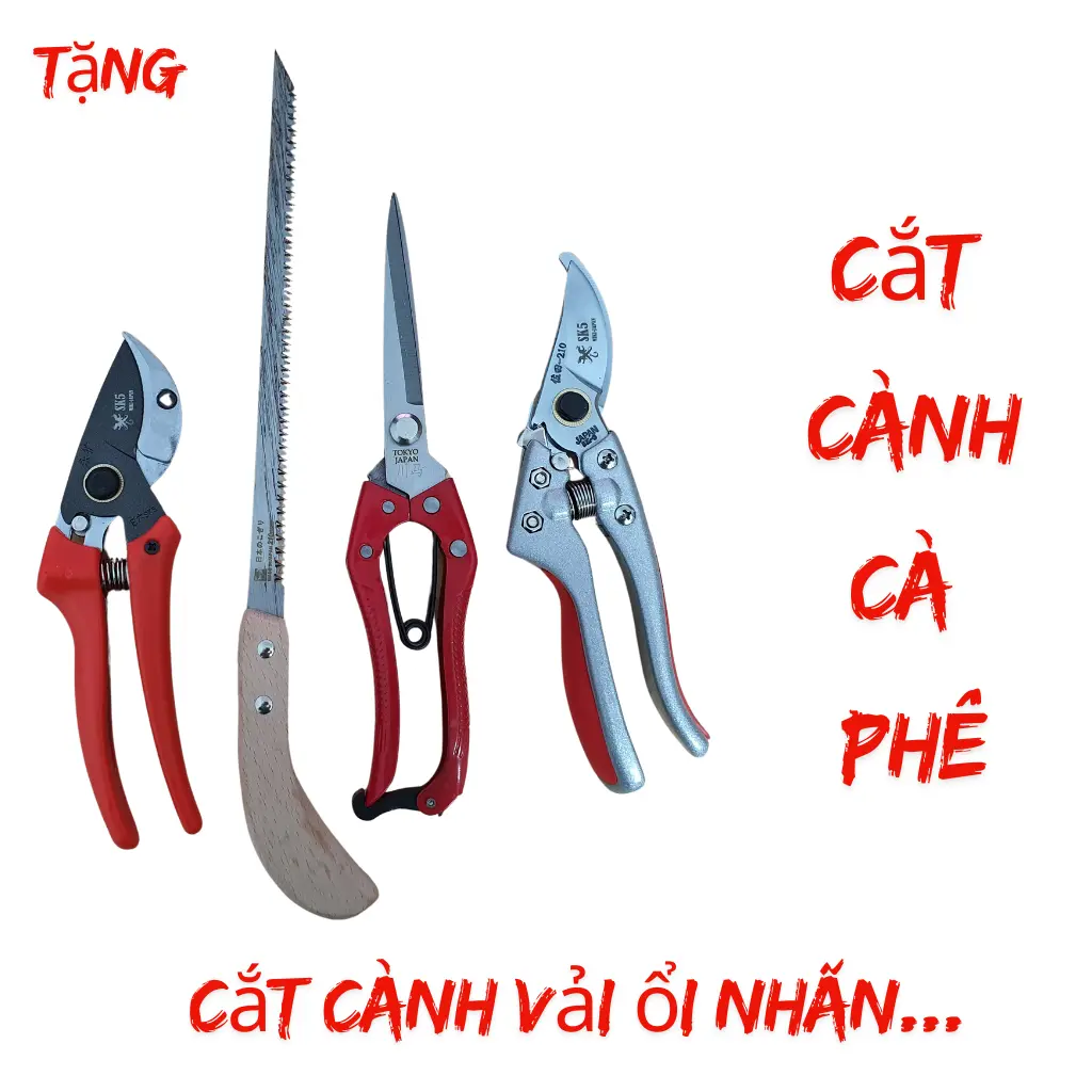 Kéo cắt cành thép SK5, Kéo Nhật bãi, kéo cộng lực, Kéo cắt cành cứng, Kéo thép SK5, Kéo làm vườn, Kéo cắt cành Cà Phê, Kéo J302, Kéo lưỡi có đe, Kéo bonsai đamme  bonsai combo lam kéo  cắt dung  culam bộ  dụng 9mon kéo  cắt  cành  cà  phê
