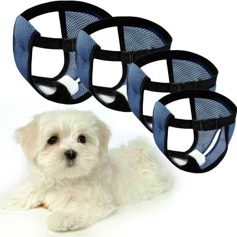 Sizes Washable with 3 Replaceable Diaper for Female Mesh Hole Design Accessories Diapers Pet Panties Dog Underwear 0