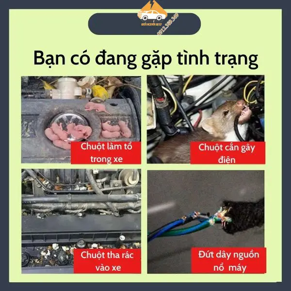 Tấm lưới chống chuột inox 304 cho các dòng xe ô tô tặng kèm lục vặn - ngăn chuột vào khoang Nội Thất Hiệu Quả Nhang 2