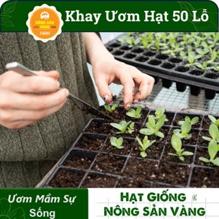 Khay Ươm Hạt Giống 50 Lỗ Kích Thước 55*30*5.5 cm , Vỉ Ươm Giúp Cho Hạt Nảy Mầm Tốt - Nông Sản Vàng 2