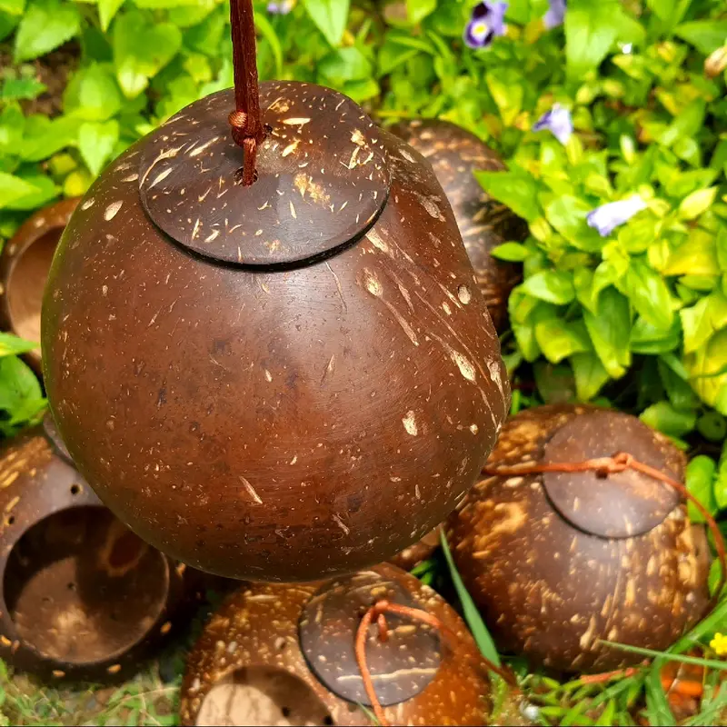 Tổ chuột Hasmter gáo dừa mài bóng/ Ổ chuột /Tổ ngủ gáo dừa 5