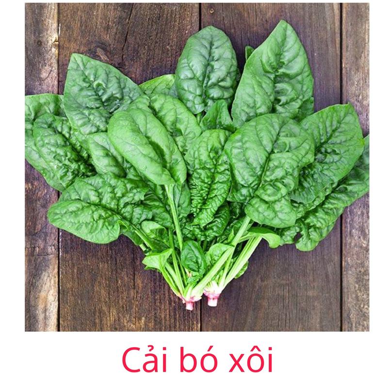 hạt giống rau cải bó xôi chịu nhiệt hatgiong  colagung