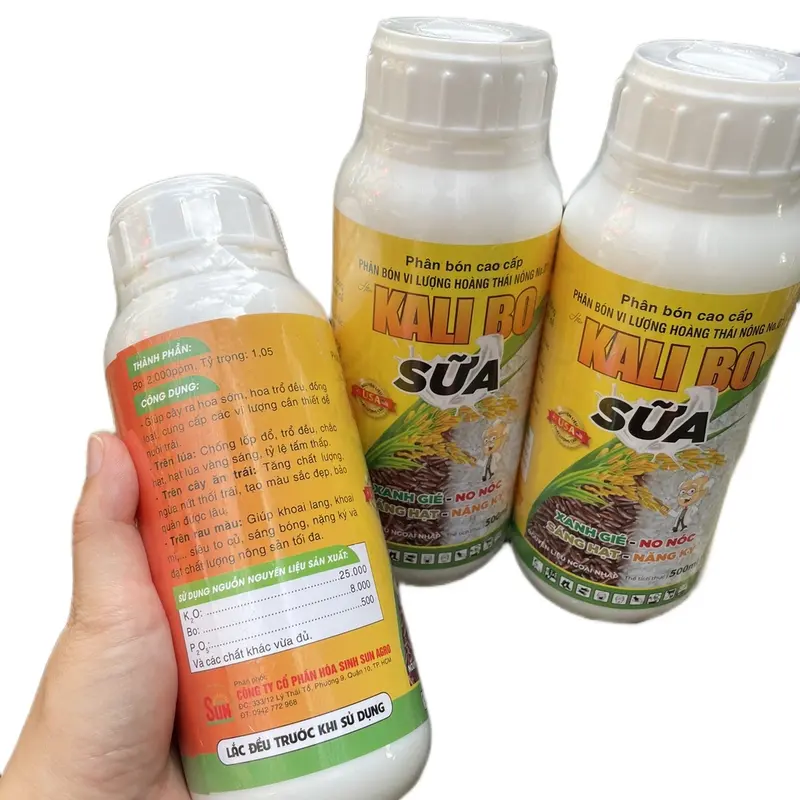Kali Bo Sữa 500ml - to trái, lớn trái, to hạt, nặng kí, cứng cây, dày lá. 5